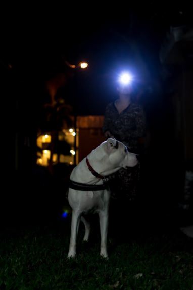LED headlamp for running by Shining Buddy